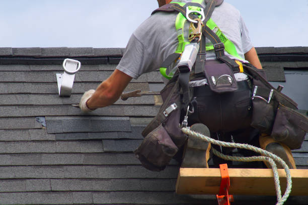 Best Roof Moss and Algae Removal  in New London, IA